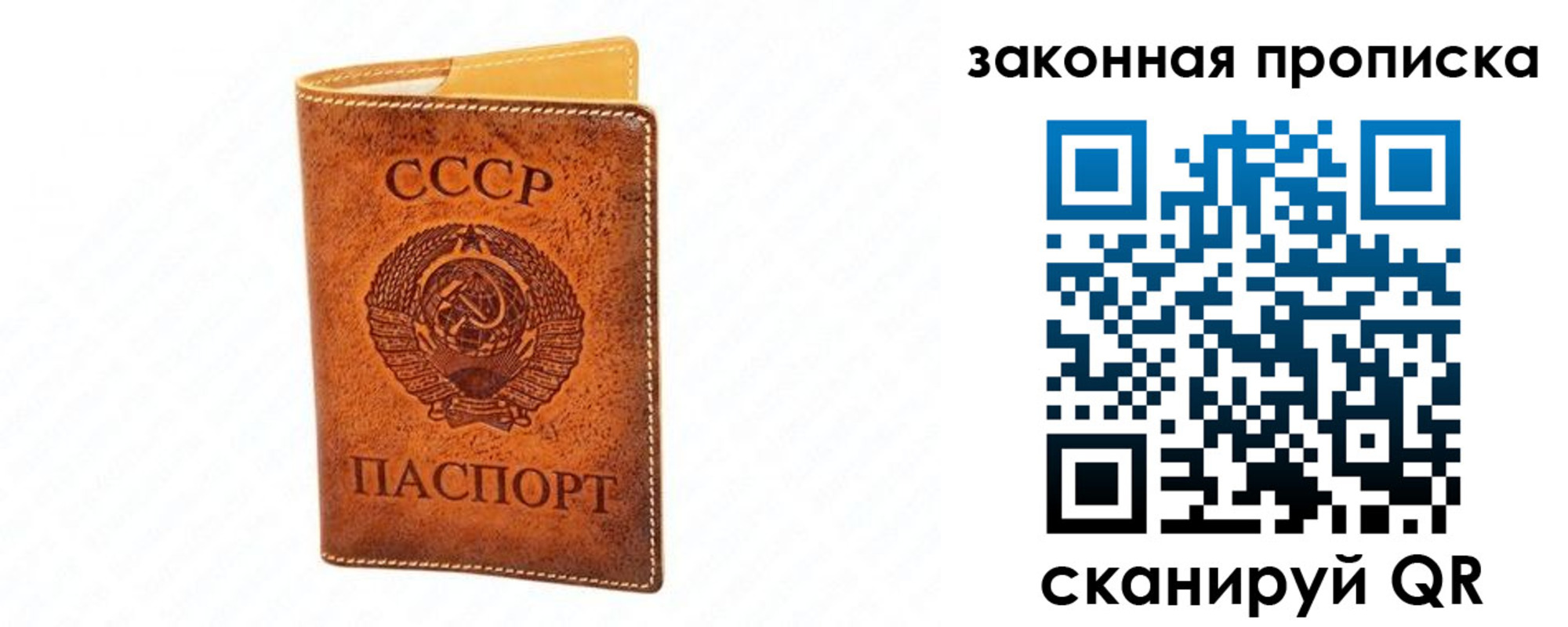 прописка в Московской области